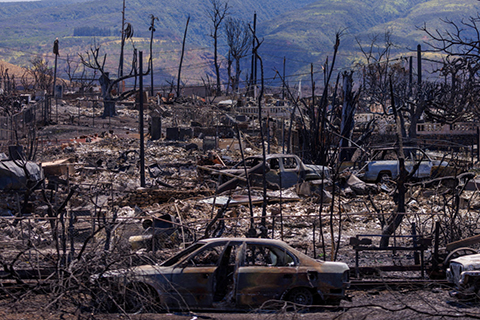 Fire aftermath in Hawaii