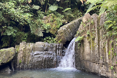 Puerto Rico waterfall